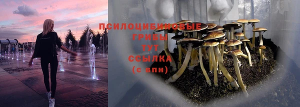 СК Аркадак